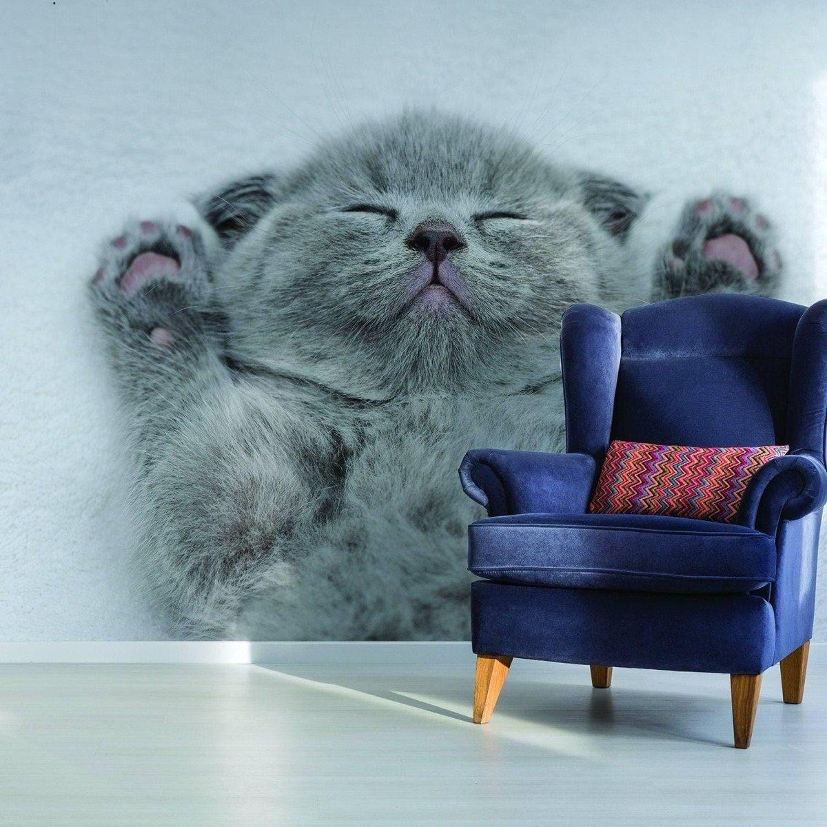 Cute gray kitten wall sticker design featuring an adorable sleeping cat, perfect for pet lovers' home decor.