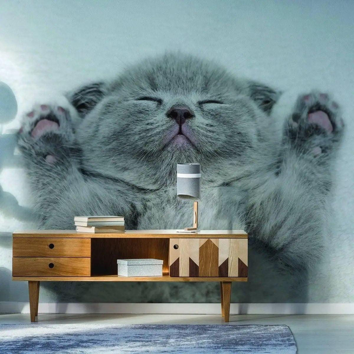Gray kitten wall sticker featuring an adorable sleeping cat with paws up, perfect for cat lovers and home decor.